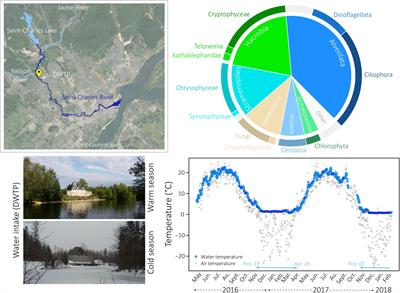 Annual Protist Community Dynamics in a Freshwater Ecosystem Undergoing Contrasted Climatic Conditions: The Saint-Charles River (Canada)